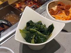 -海底捞火锅(吾悦广场店)