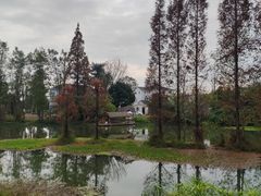 -桤木河湿地公园