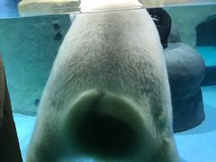 -大连圣亚海洋世界