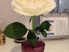 -伊斯坦布尔土耳其清真咖啡餐厅