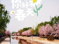 -海棠花溪(元大都城垣遗址公园)