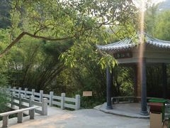 -羚羊峡古栈道森林公园