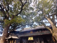 -阿育王寺