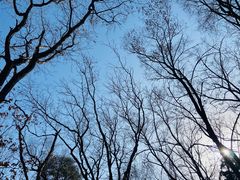 -沈阳市东陵公园