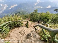 -梧桐山风景名胜区