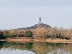 -北坞公园