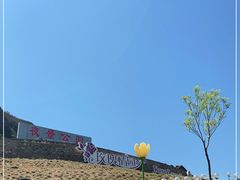 -密云玫瑰情园