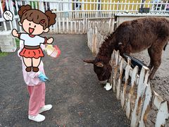 -前小桔亲子创意农场·草莓采摘·露营烧烤