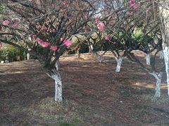 -白塘生态植物园