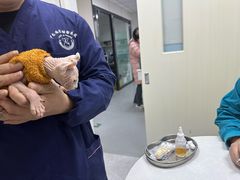 -中农国际动物医院24小时·猫科·骨科·急重症中心