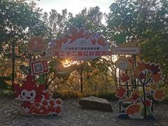 -广州市石门国家森林公园