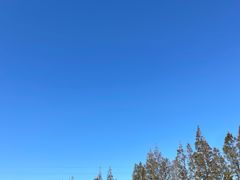 -前小桔亲子创意农场·草莓采摘·露营烧烤