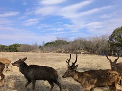 -良渚古城遗址公园