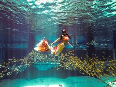 -三亚海昌梦幻海洋不夜城