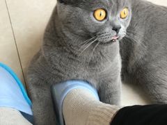 -Catmate·猫肥家润(金润铂宫店)