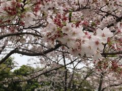 -武汉马哥孛罗酒店