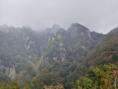 -王顺山国家森林公园