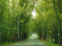 -红山村