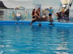 -尼莫海豚馆