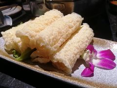 -新草堂锅物料理(泉城路店)