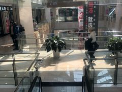 -光启城时尚购物中心