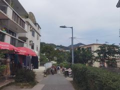 -南丫岛