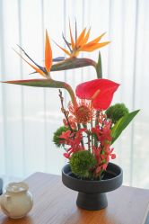 -圣贝拉母婴护理中心(深圳莱佛士店)