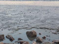 -深圳湾公园(南山区)