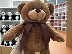 -济州岛泰迪熊博物馆