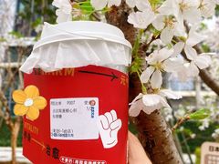 -炖物24章·顺时轻养茶(黄龙店)