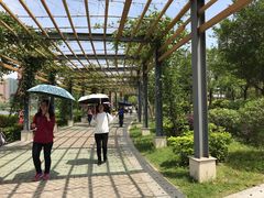 -飞来湖湿地公园