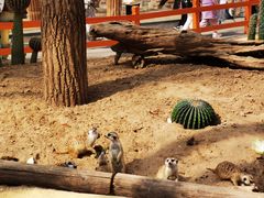 -北京野生动物园