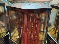 -一代烤翅王(大汉口店)