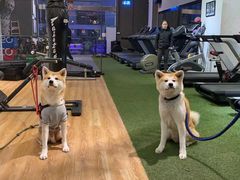 -YCHL Studios健身工作室(市二宫店)