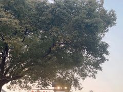 -咸亨酒店•非遗绍兴菜•中华老字号(堂吃餐厅)