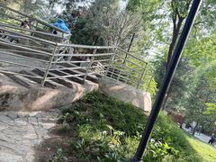 -黄村公园