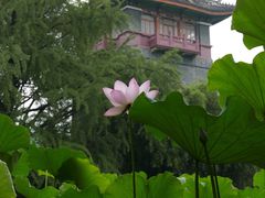 -四川大学(华西校区)