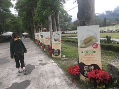 -瑞穗牧场