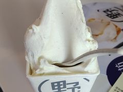-野人牧坊Gelato(天津南开大悦城店)