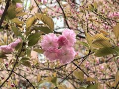 -木塔寺遗址生态公园