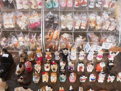 -猫咪博物馆(顶澳仔猫街店)