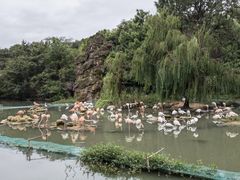 -宁波野生动物园