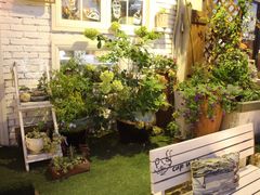 -一杯海(国际海水浴场店)