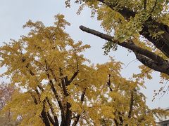 -求雨山文化公园