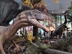 -湖南省地质博物馆