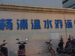 -杨浦温水游泳池