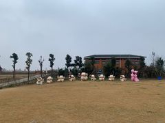 -空港花田景区