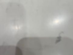-吉野家(上海美罗城店)