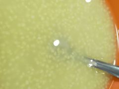 -益民餐厅(交通大学店)