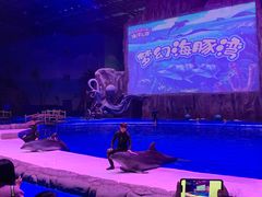 -华夏文旅海洋公园